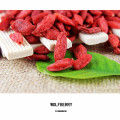 Bagas de goji frescas de goji secas orgânicas certificadas chinesas